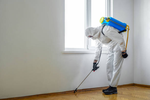 Best Pest Prevention Services  in Orcdlands Estates, HI